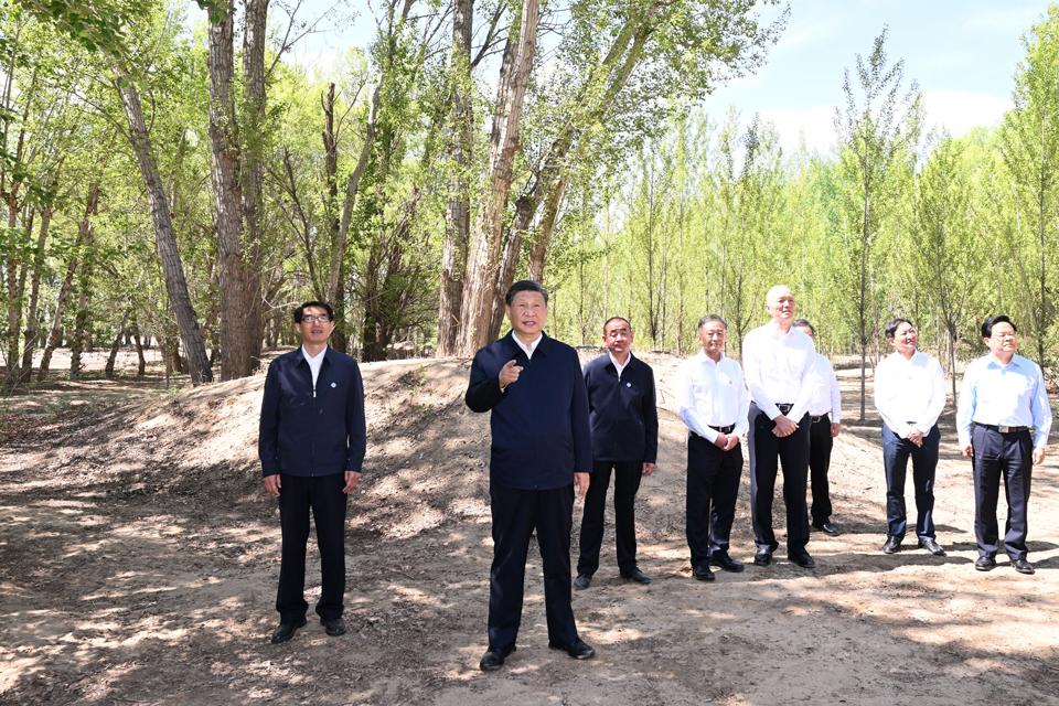 6月5日至6日,，中共中央總書記、國家主席,、中央軍委主席習近平在內蒙古巴彥淖爾考察,，并主持召開加強荒漠化綜合防治和推進“三北”等重點生態(tài)工程建設座談會。這是6日上午，習近平在臨河區(qū)國營新華林場考察,。新華社記者 謝環(huán)馳 攝