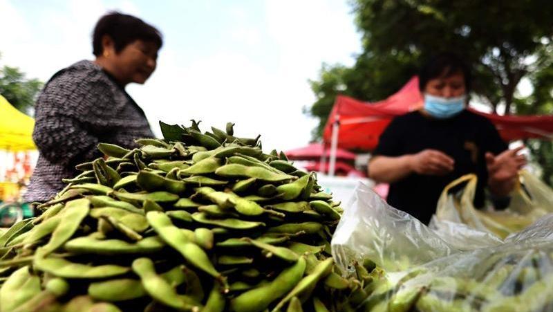 帶殼黃豆 新鮮上市