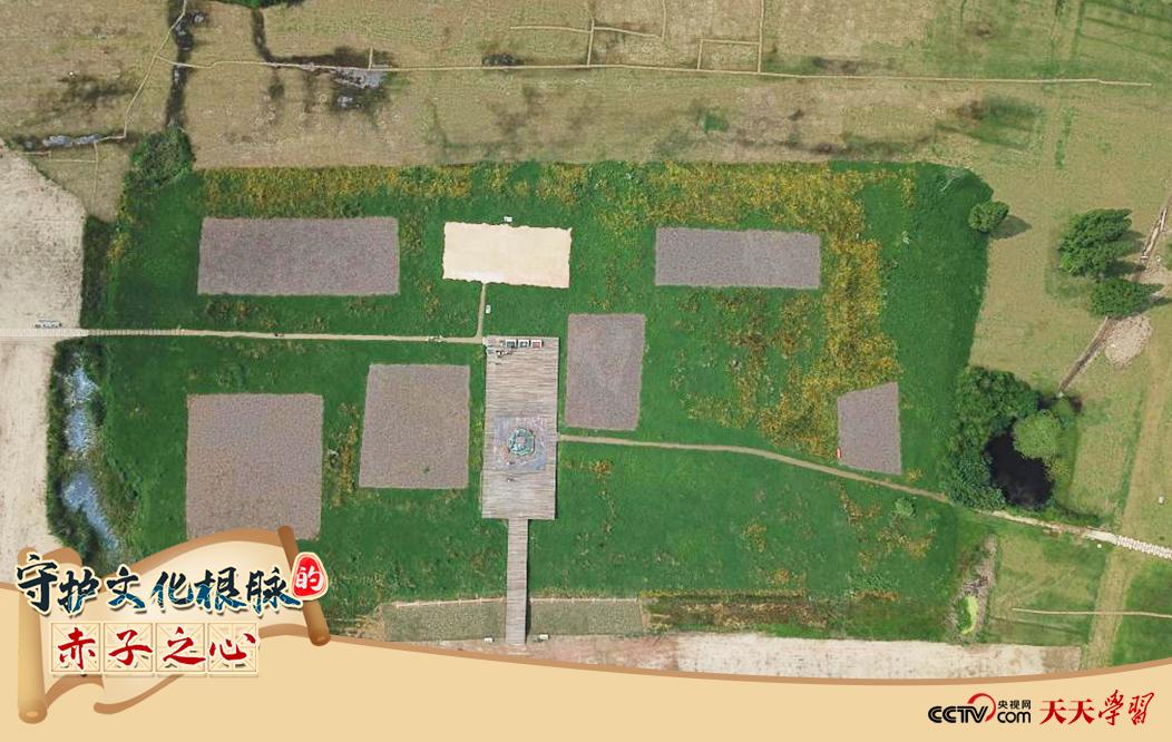 2019年6月23日無人機拍攝的良渚國家考古遺址公園的宮殿區(qū)。