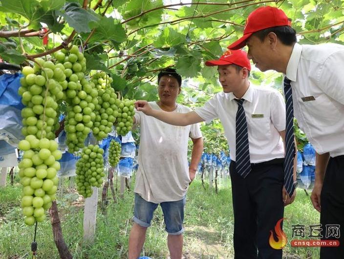 圖片新聞