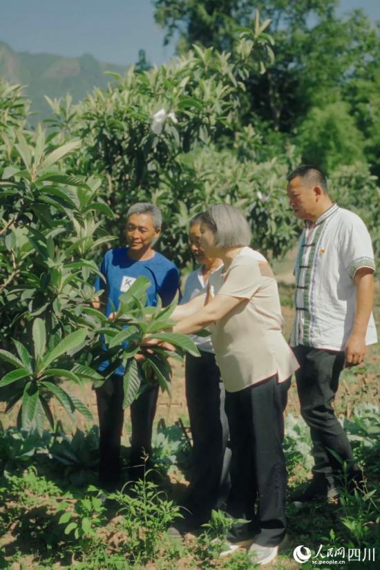 綿陽市農(nóng)科院研究員任茂瓊（前排左一）在果園里,，手把手給農(nóng)戶演示如何修枝,。人民網(wǎng)記者 張若涵攝