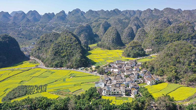 2024年2月17日，貴州省興義市萬(wàn)峰林景區(qū)的油菜花海景色（無(wú)人機(jī)照片）,。