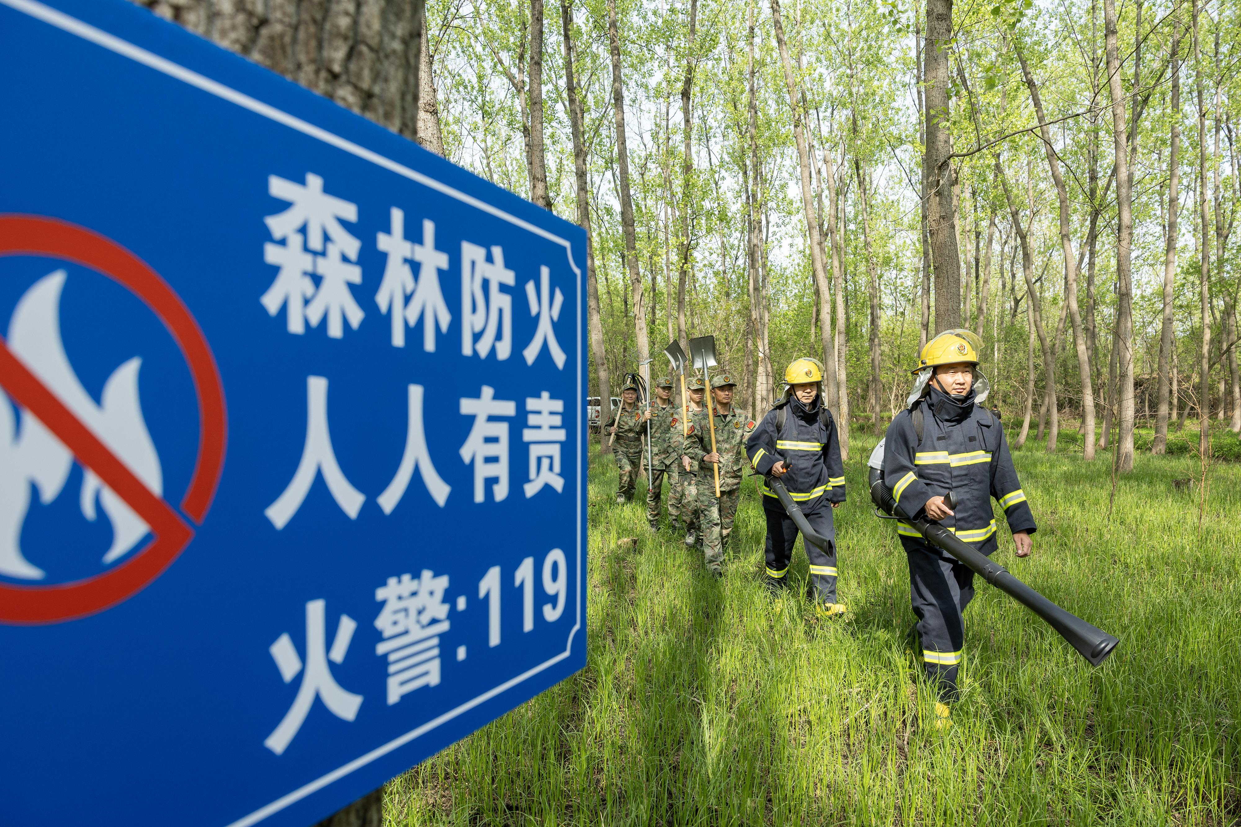 2024年4月9日,，合肥市大房郢水庫水源保護地廬陽經(jīng)濟開發(fā)區(qū)段,，基干民兵正在林間巡查火災隱患。