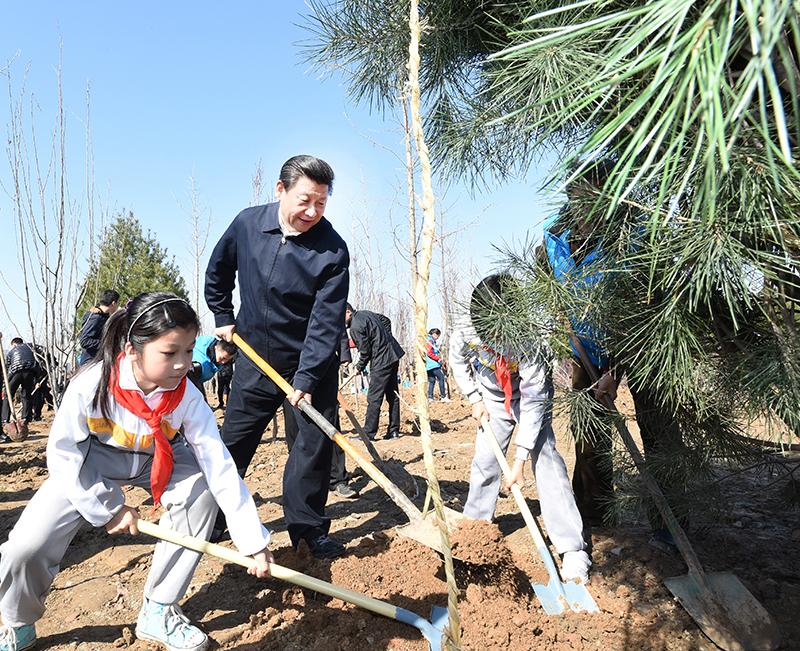 2015年4月3日,，習(xí)近平總書記同大家一起植樹。