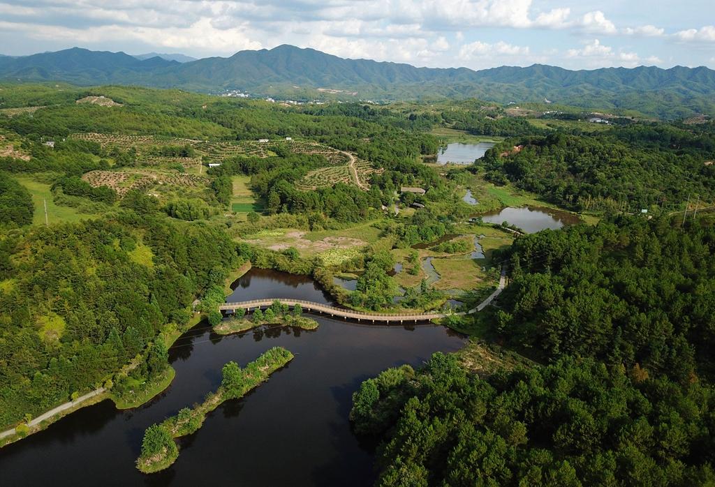 福建省龍巖市長汀縣的長汀汀江國家濕地公園景色（2020年7月28日攝,，無人機照片）,。新華社記者 魏培全 攝