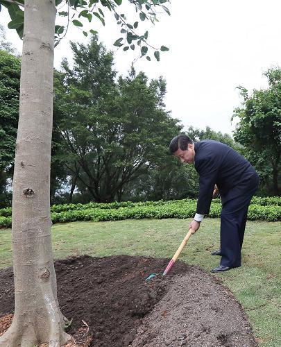 2012年12月7日至11日，習近平在廣東省考察工作,。這是8日上午,，習近平在深圳蓮花山公園種下一棵高山榕樹。新華社記者 蘭紅光 攝